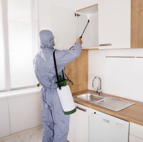 Best Home Pest Control