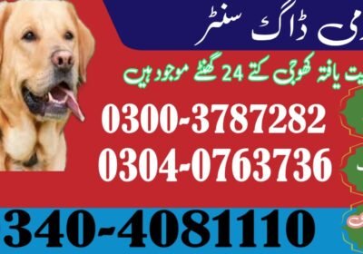 youtube-thumbnail-1764993729222