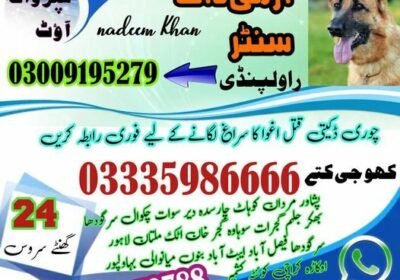 316667249_124439153795855_1553491315796255498_n-526×493-2