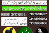 Army Dog Center Peshawar 03009195279 | Khoji Dogs