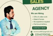 Hiring office/online/home base work