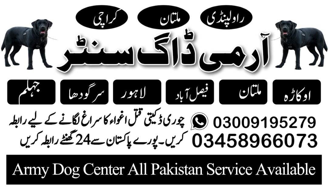 Army Dog Center Peshawar 03009195279 | Khoji Dogs