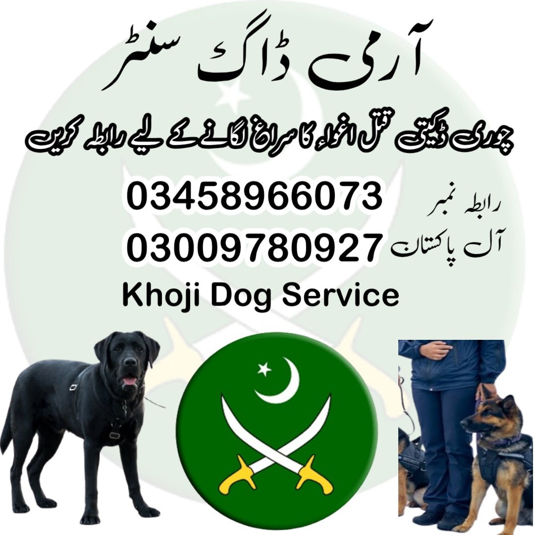 Army Dog Center Peshawar 03009195279 | Khoji Dogs