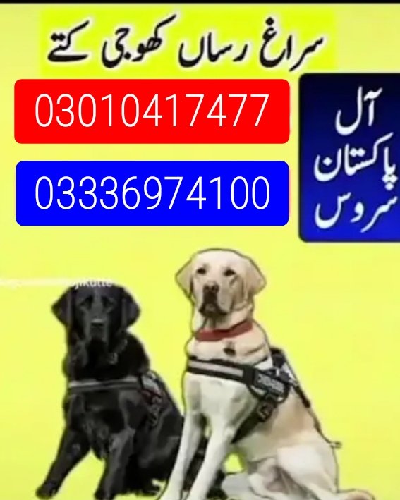 Army dog center 03010417477 (چور پکڑنے والے کتے)