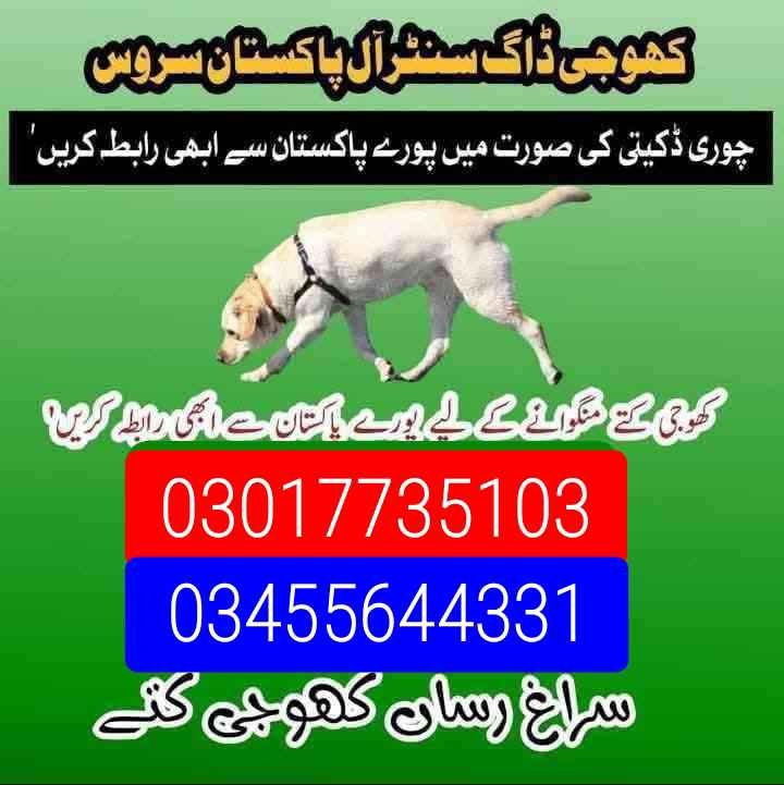 Army dog center 03017735103 (کھوجی ڈاگ)