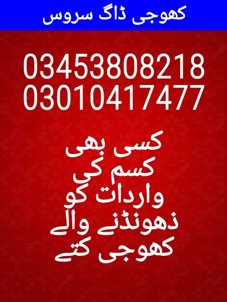 Army dog centre 0 345 380 8218 0301 77 35 10 3