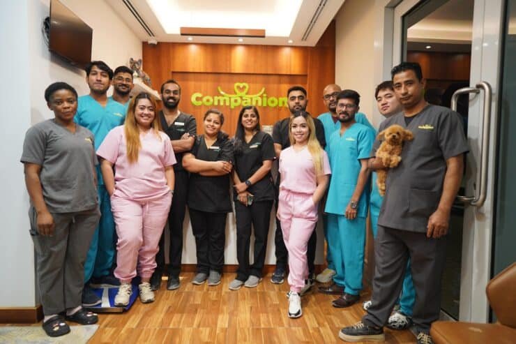 WhatsApp-Image-2025-10-10-at-11.38.43-AM