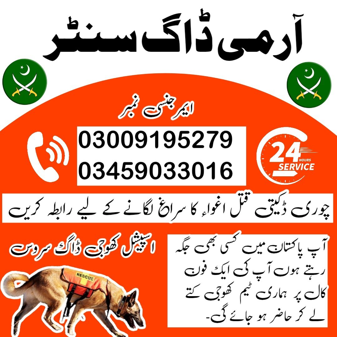 square-1-1-1746799533878