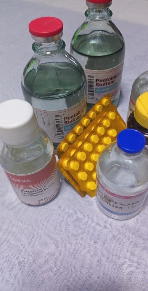 cyanide,Nembutal, farxiga,botox,trazadone,methadone,consent