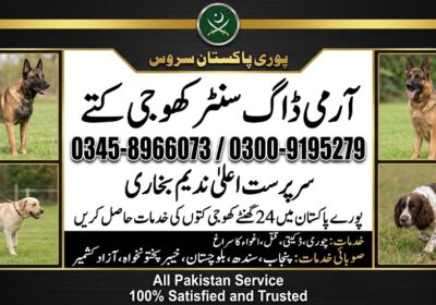 multan-4