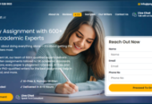 Assignment Writing Services in UK