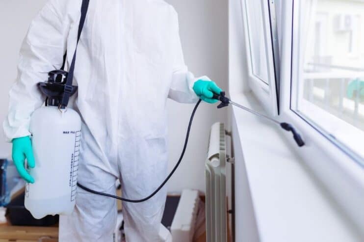 fumigation-service