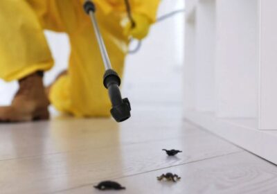 insect-control-1