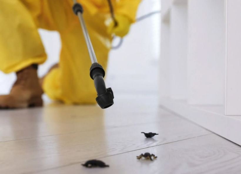 Insect Control